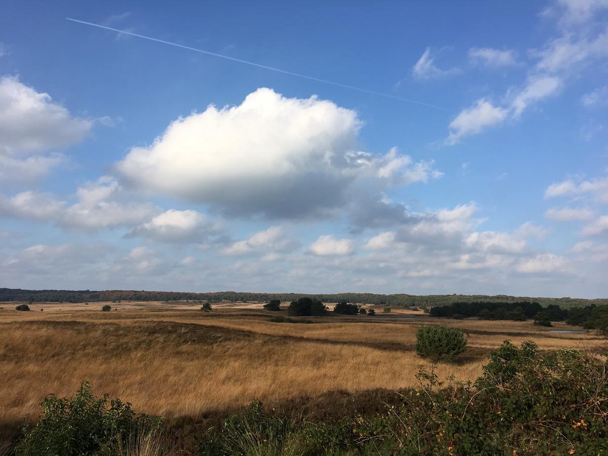 De Slaapfabriek Vakantiehuis En Trainingslocatie Teuge Екстер'єр фото